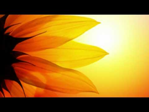 The Most Relaxing [Alpha Brainwave Music] on the net.