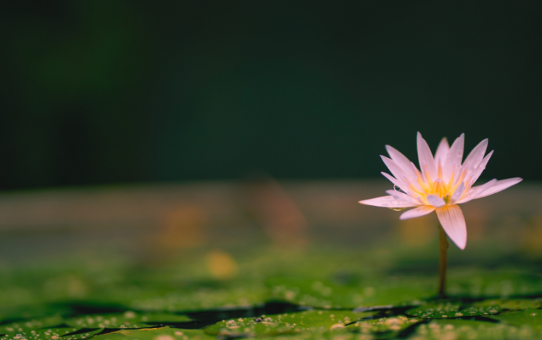 Being Spiritual in Cities and in Chaos