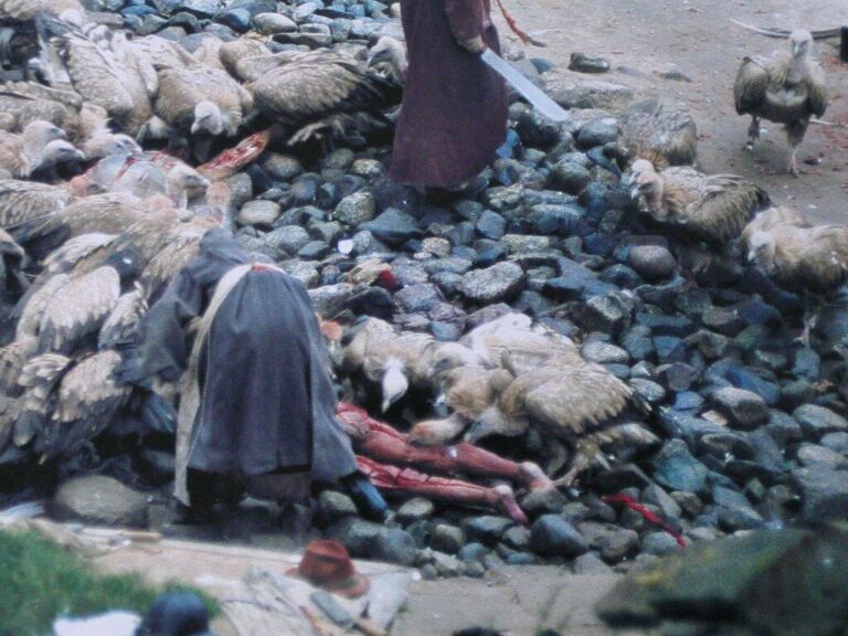The Tibetan Sky Burial