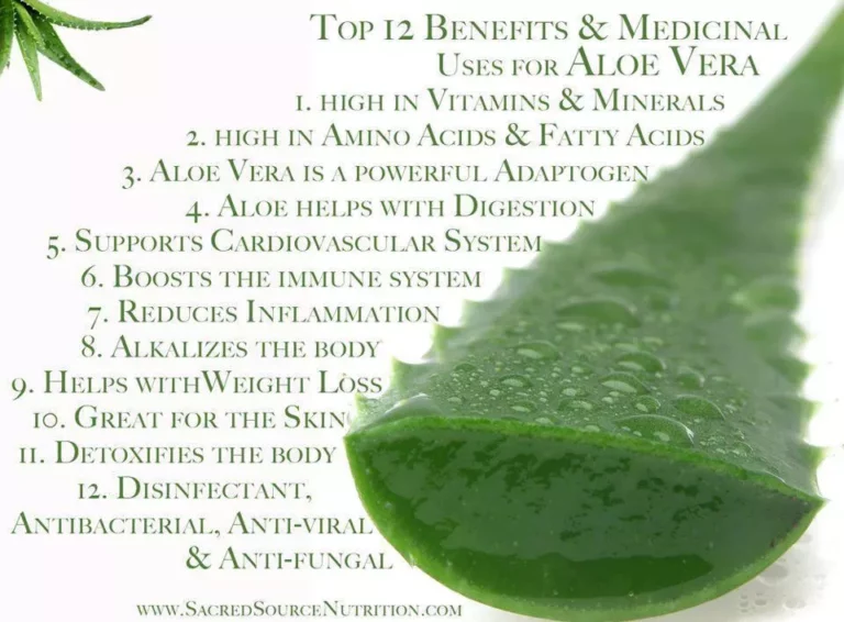 Discovering the Magic of Aloe Vera