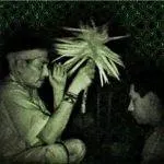 ayahuasca-healing-ceremony
