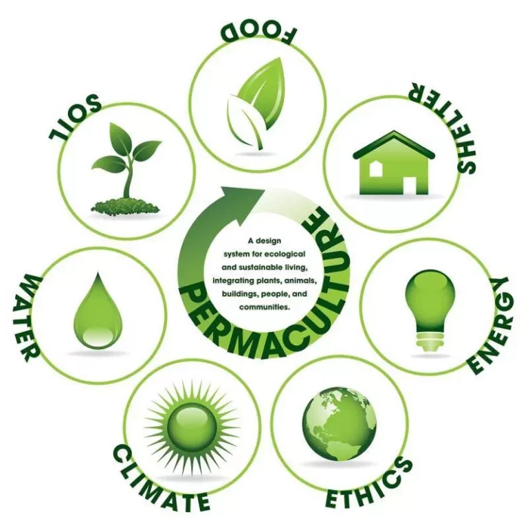 Establishing a Permaculture based Food Forest