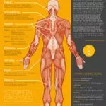 Emotional_Pain_Chart_Emotional_Body_Chart