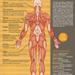 emotional_pain_chart