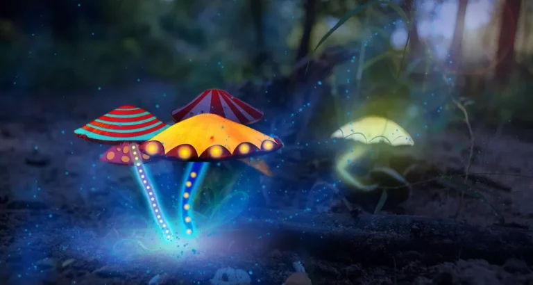 Magic Mushrooms: A Catalyst for Human Evolution