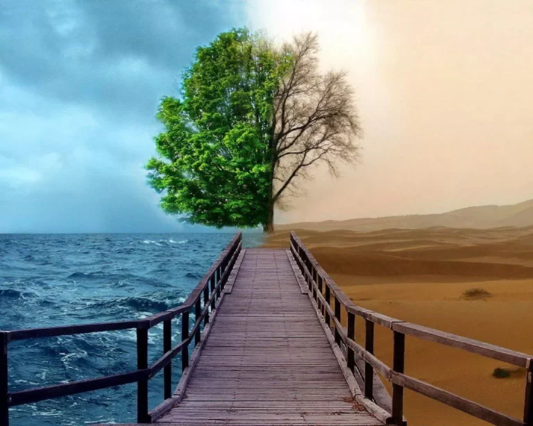 The Eight Soul-centric/Eco-centric Stages of Human Development