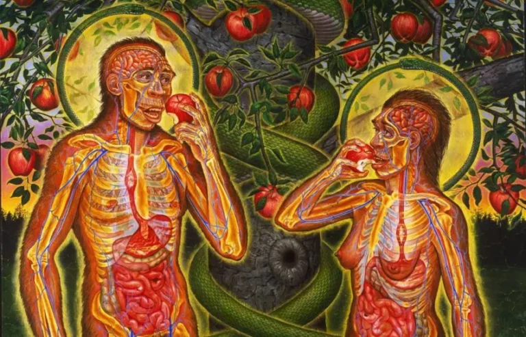 The Connection between Food and Soul