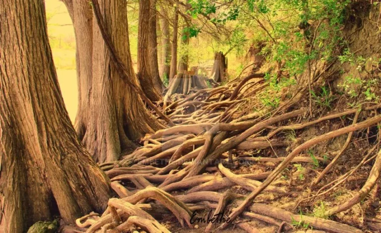 5 Ways to Overcome Obstacles on the Path of Awakening