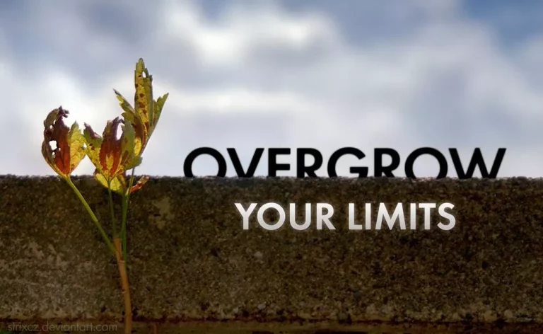 4 Ways to Harness the Courage to Overgrow the System