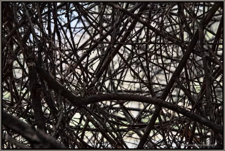 5 Ways how Chaos Can be Your Guide