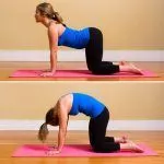 cat-pose-Marjariasana
