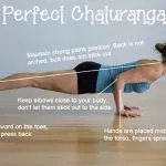 chaturanga-asana-Plank-pose