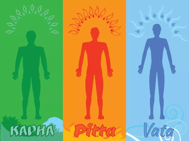 Doshas – The Connecting Link Between Five Elements of Nature & Our Body