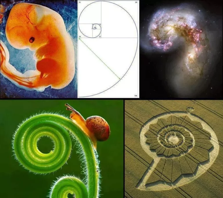 Approaching Infinity: Applying Fibonacci and Phi to the Concept of Enlightenment