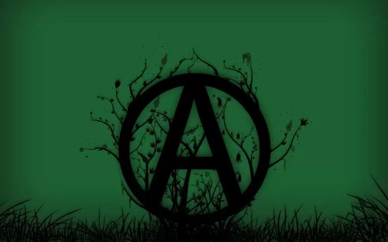 Five Unexpected Signs You May be an Anarchist