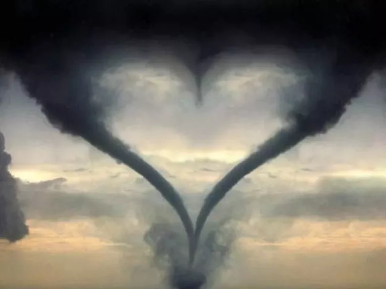 The Zen of Heart storming: Ego Individuation and the Self-actualization of the Soul