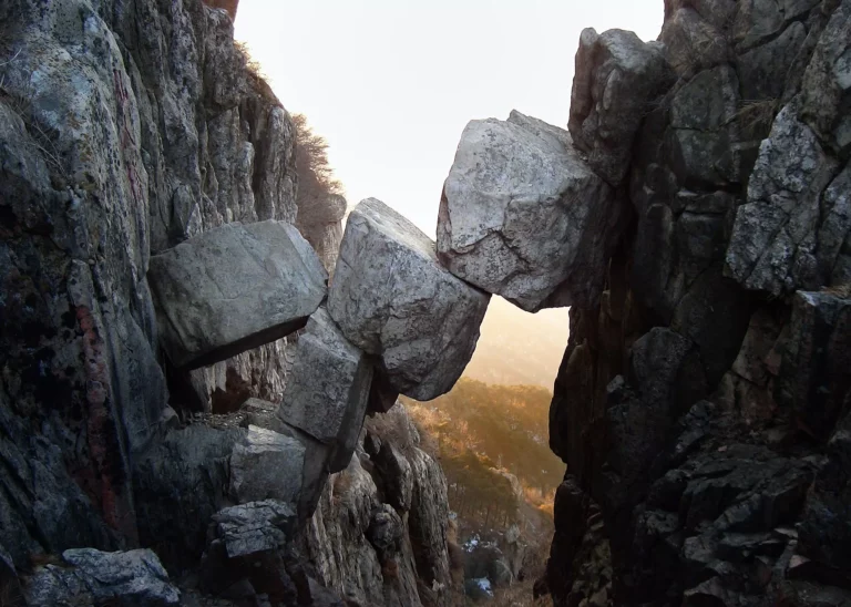 Zen Dynamics: The Obstacle is the Path