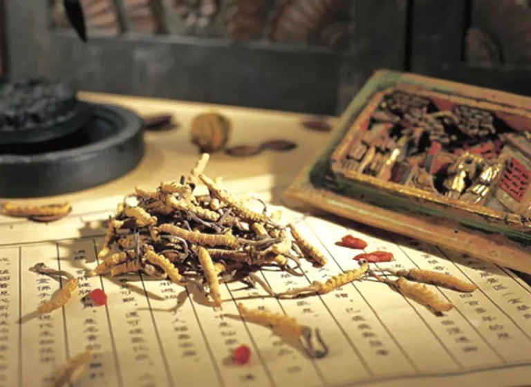 The Five Elements of Chinese Medicine & their Healing Power