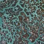 fractal-patterns-in-nature-spain-google-earth