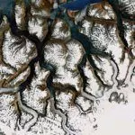 greenland-fractals-google-earth