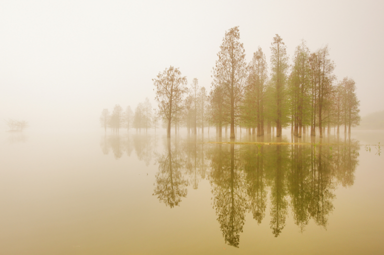 5 Meditative Practices for Everyone