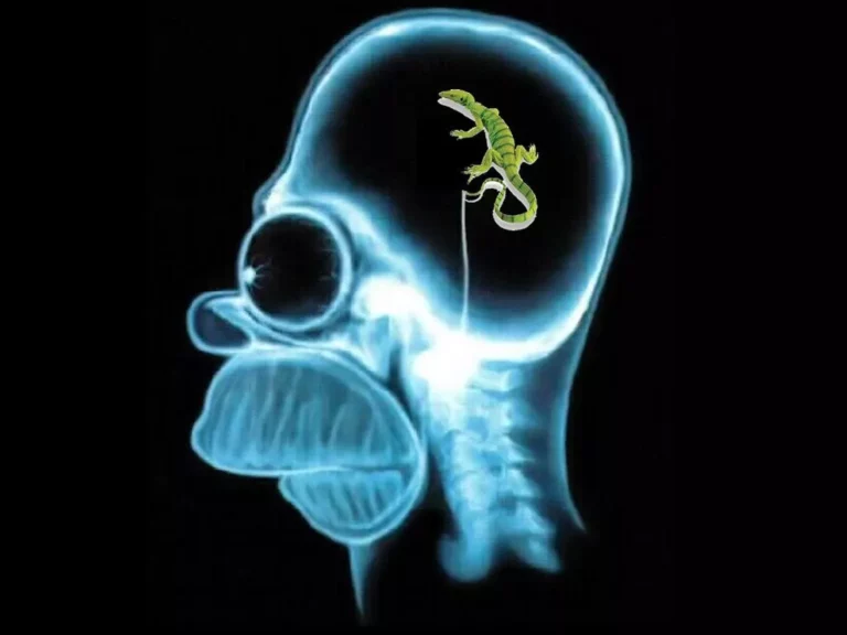 Breaking the Spell of the Reptilian Brain: From Primitive Brain to Evolved Mind