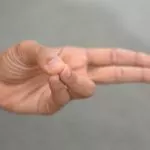 prana_mudra