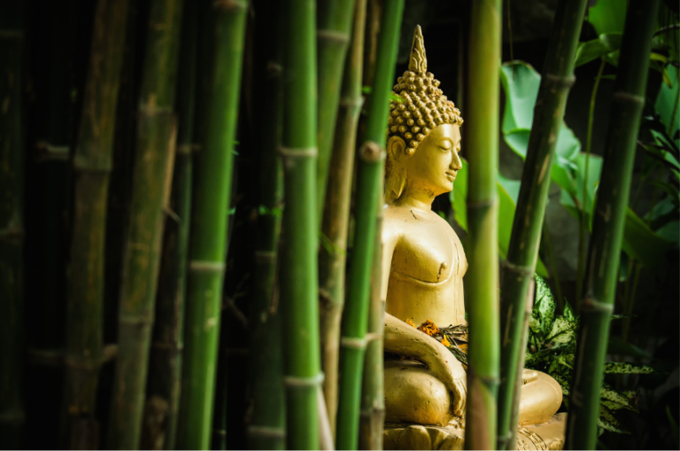 4 Signs You May Be a Warrior in a Garden