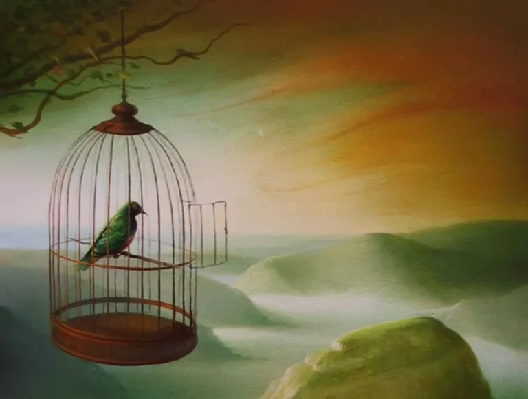 Finding Freedom in a Cage