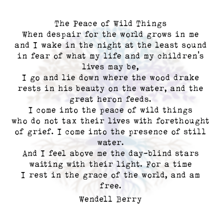When Despair for the World Grows in Me