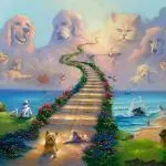 over-the-rainbow-the-rainbow-bridge-736×576