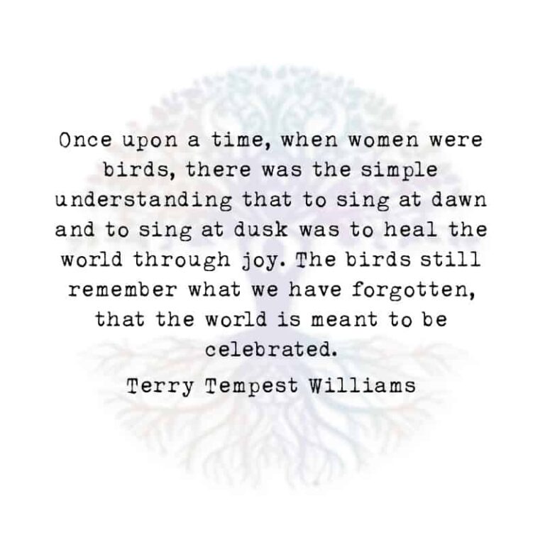Once Upon a Time, When Women Were Birds