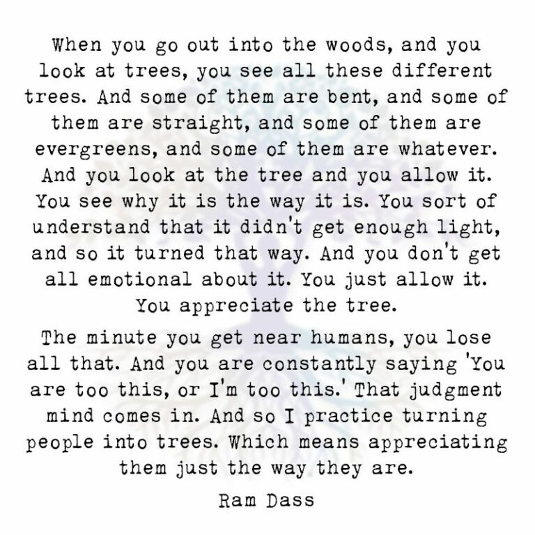 When You Go Out into the Woods, and You Look at Trees