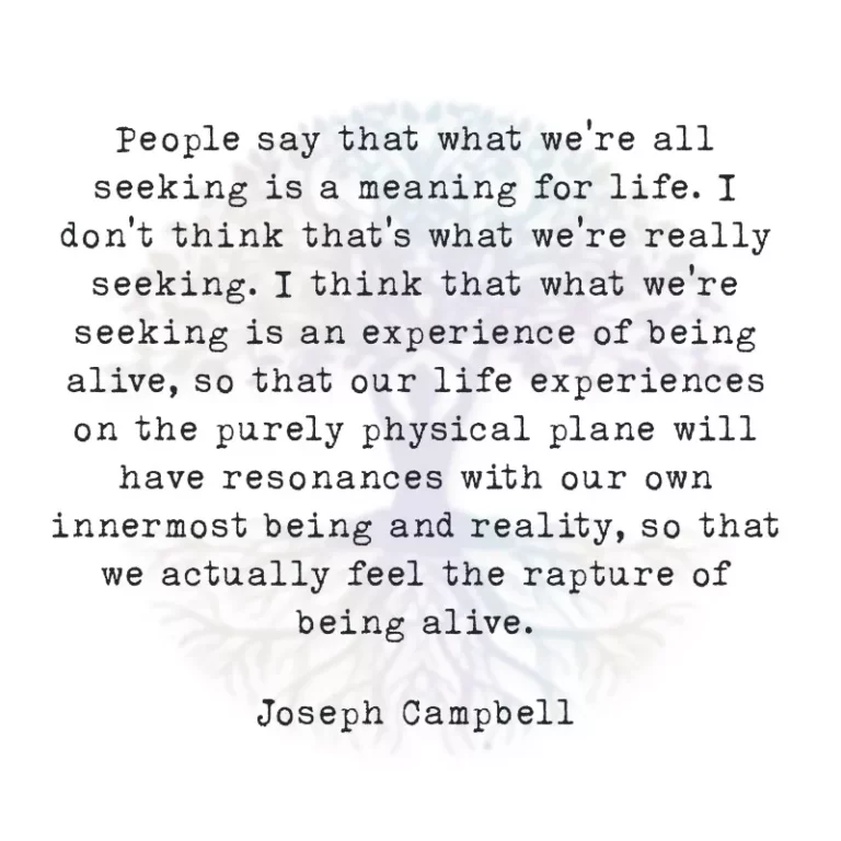 People Say That What We’re All Seeking is a Meaning for Life