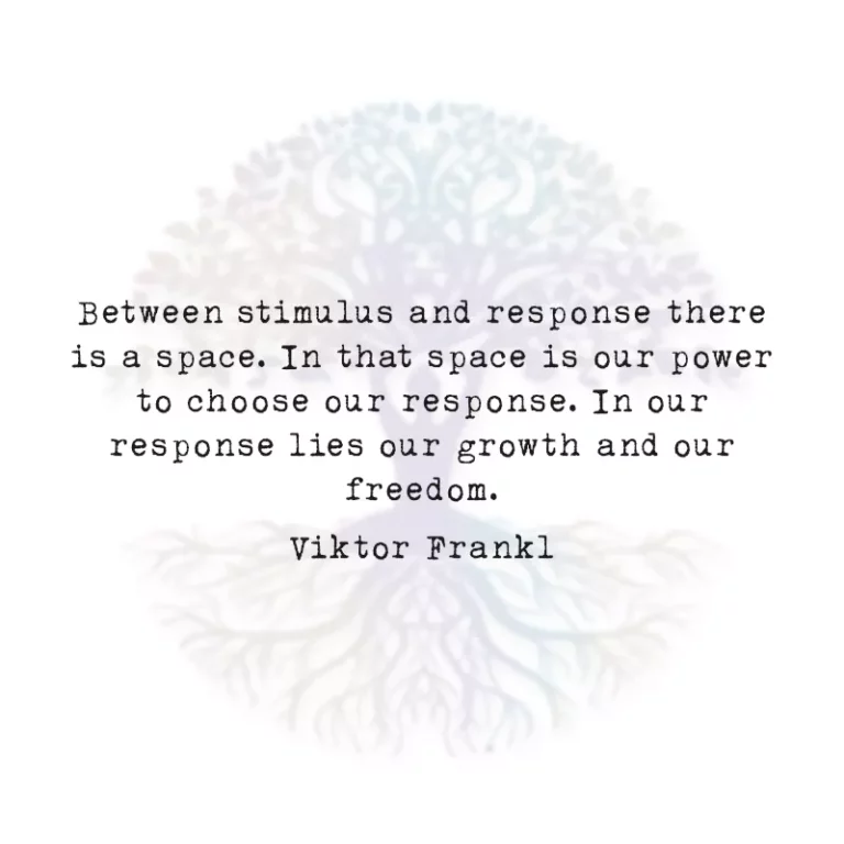 Between Stimulus and Response