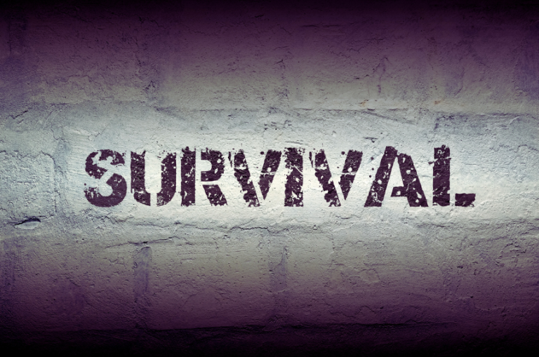 5 Ways to Survive Survival Mode