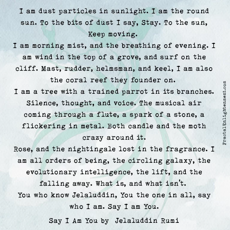 Say I Am You
