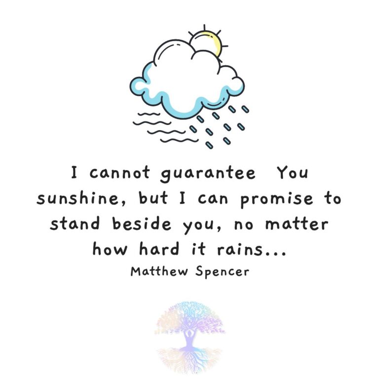I Cannot Guarantee You Sunshine