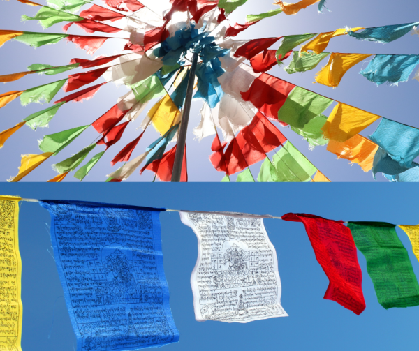 untitled-design-12