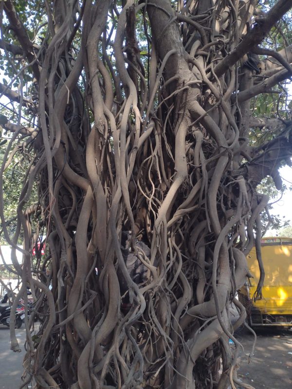 14df3a29-d921-4296-b24b-31f00154f04f